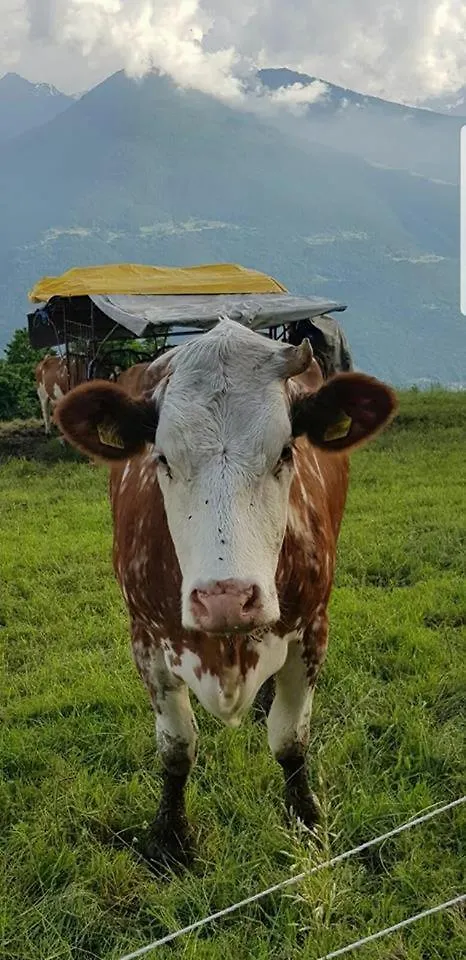 Alloggio Del Contadino Σόντριο